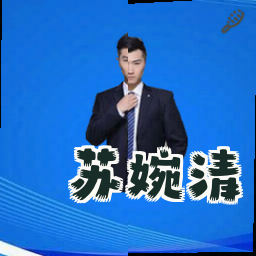 苏婉清